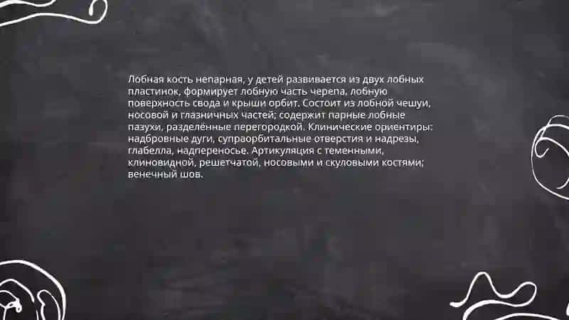 Анатомия скелета черепа 4
