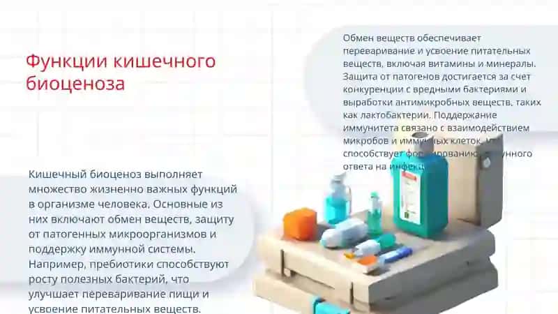 понимание кишечного биоценоза 4