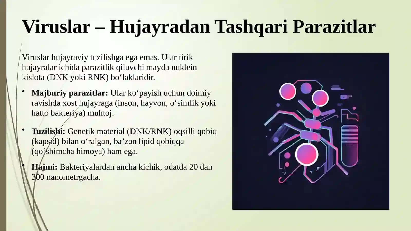 Bakteriyalar, viruslar va zamburug‘lar 4