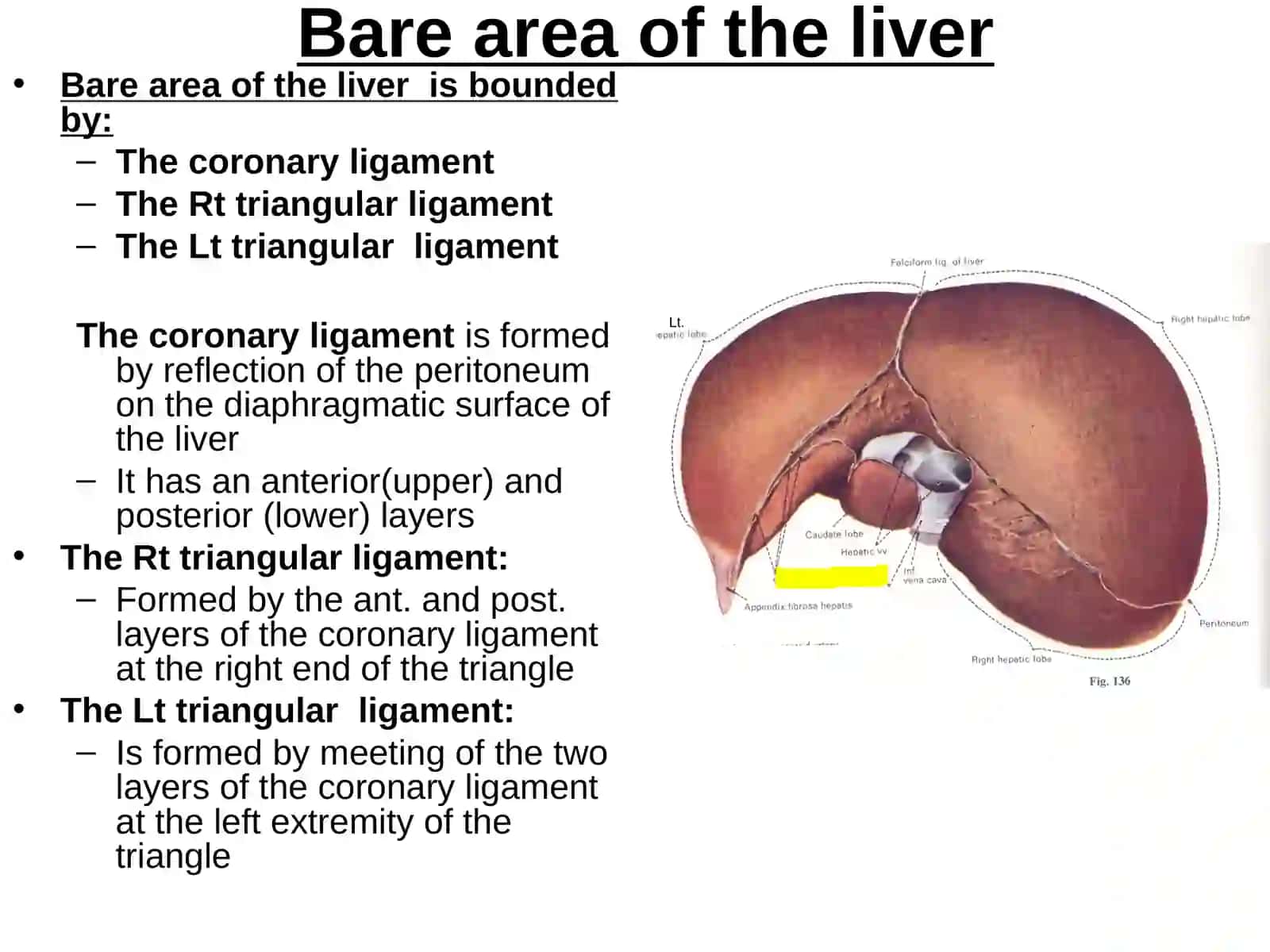 Liver, gall Bladder and extra-hepatic biliary apparatus 4