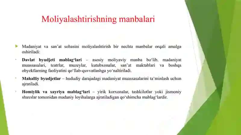 MADANIYAT VA SAN'AT SOHASINI MOLIYALASHTIRISHNING O'ZIGA XOS XUSUSIYATLARI 4