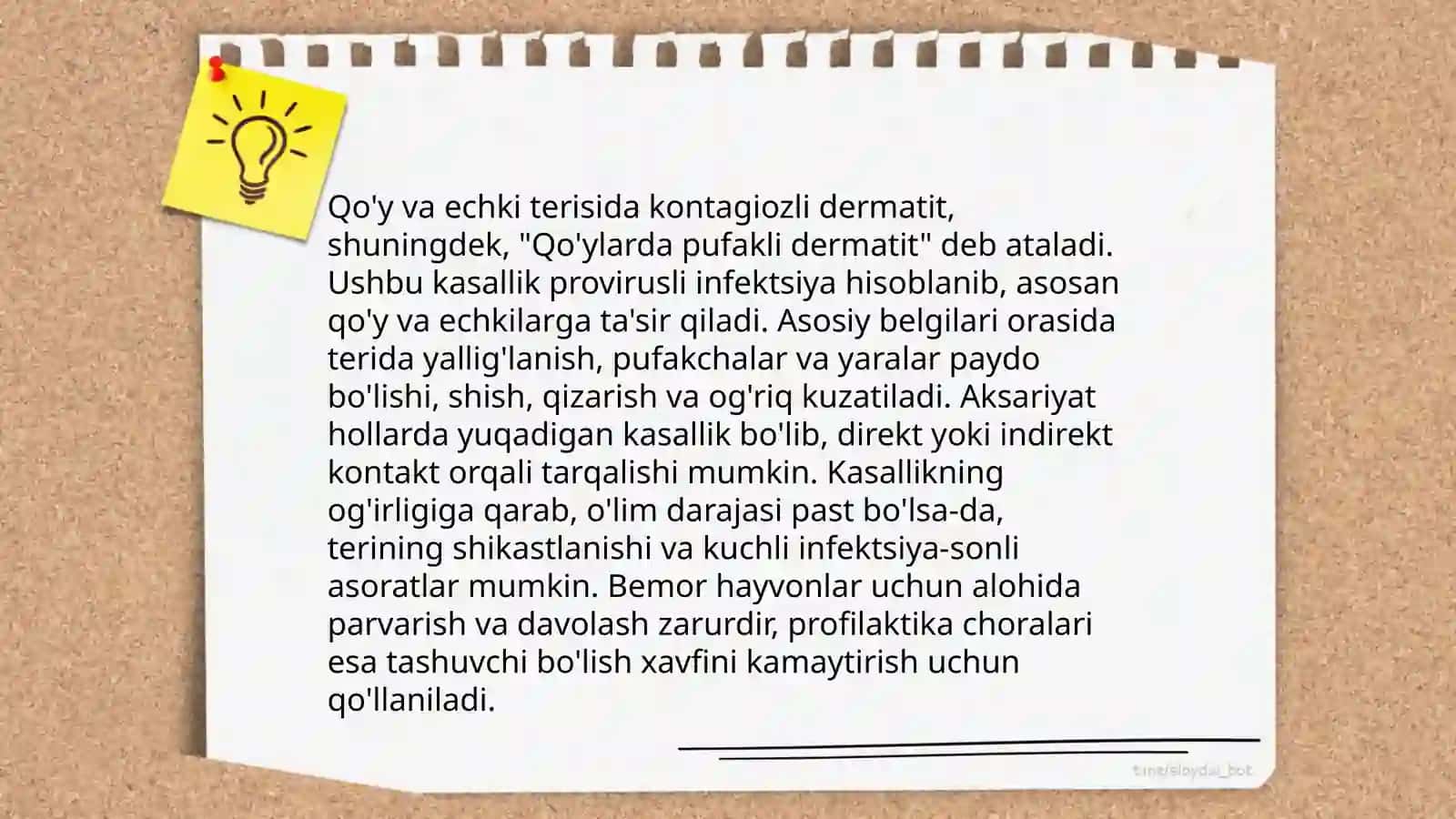 Qo'y va echkilarning kontagiozli dermatit kasalligining patomorfologiyasi 4