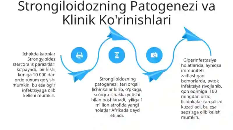 Strangloidlar qilsinon gijjalar tilyariyya, vuxerariya loa-loa. 4