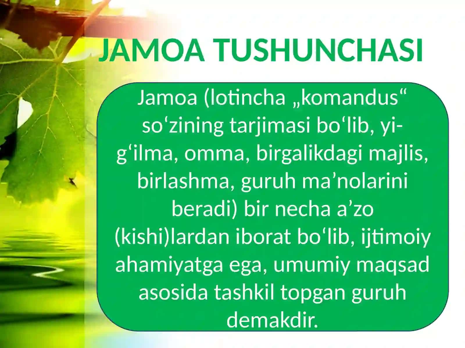 Boshlang’ich sinf o’qituvchisining jamoa bilan ishlashdagi o’ziga xosligi 4