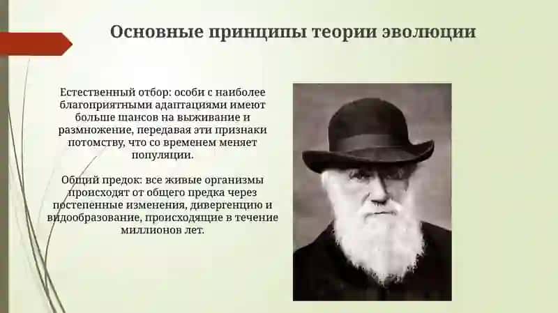 Ученый биолог Чарльз Дарвин (1809–1882) и его вклад в медецину 4