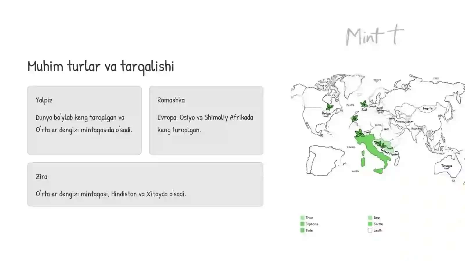 Yalpizdoshlar oilasi: Biologiya, ekologiya va ahamiyati 4