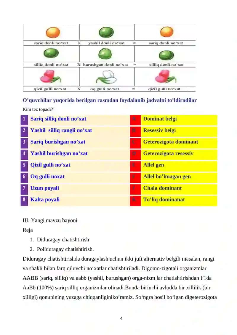 Diduragay va poliduragay chatishtirish.G.Mendelning uchinchi qonuni 4