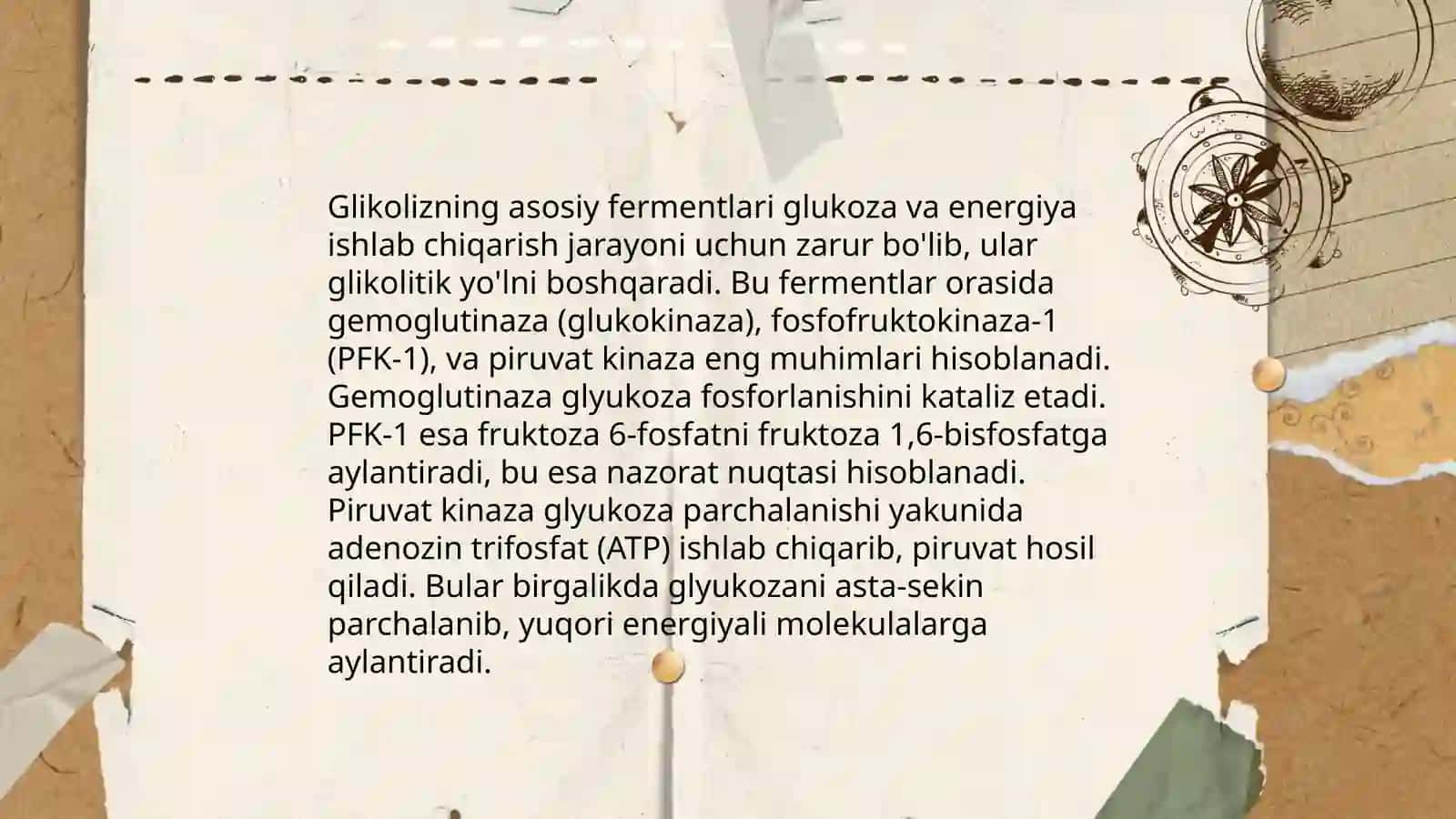 Jigarda glikoliz va gilikoneagenez boshqarilishi 4