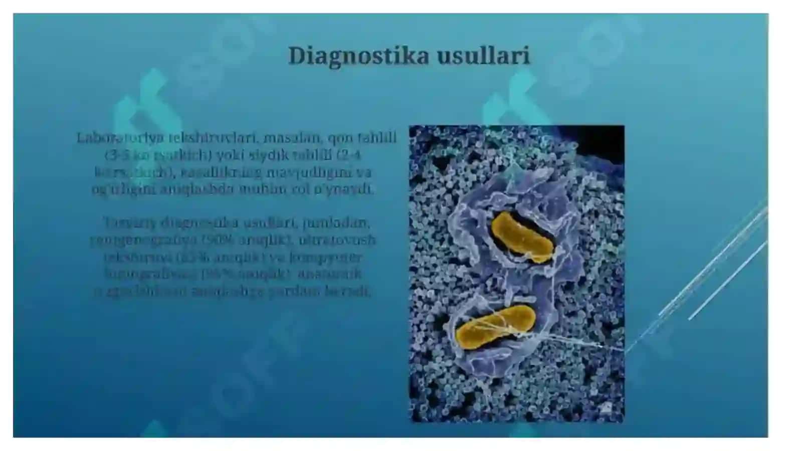 Ko'p tarmoqli tibbiyot texnikumi 4