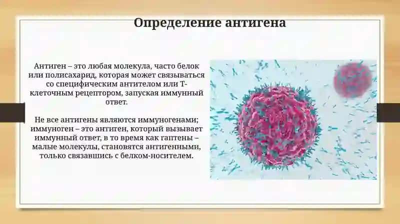 Антигениантитела 4