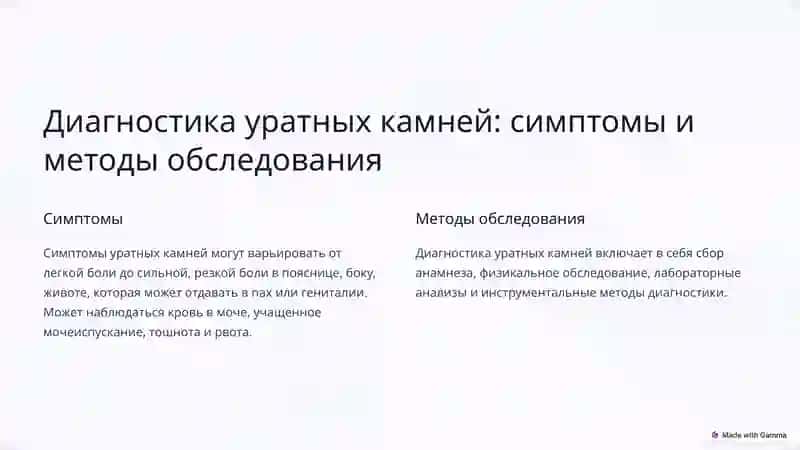 Образование уратных камней в почках, принципы лечения 4