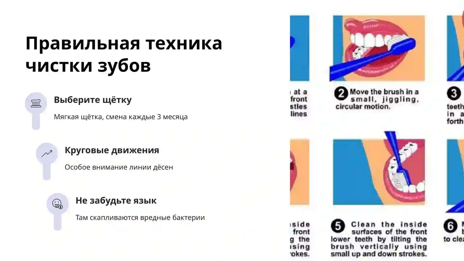 Гигиена полости рта 4