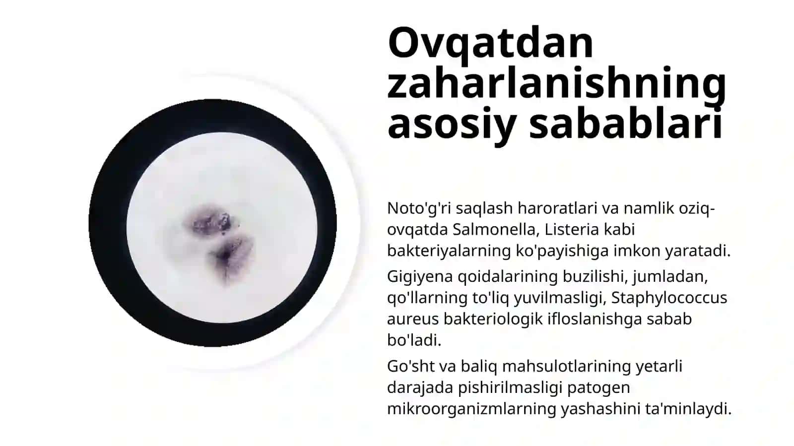 Oziq-ovqat mikrobiologiyasi nazariyasi 4