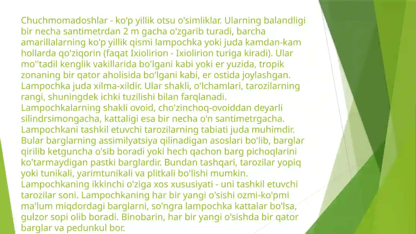 Chuchmomadoshlar oilasi (Chuchmomadoshlar) 4