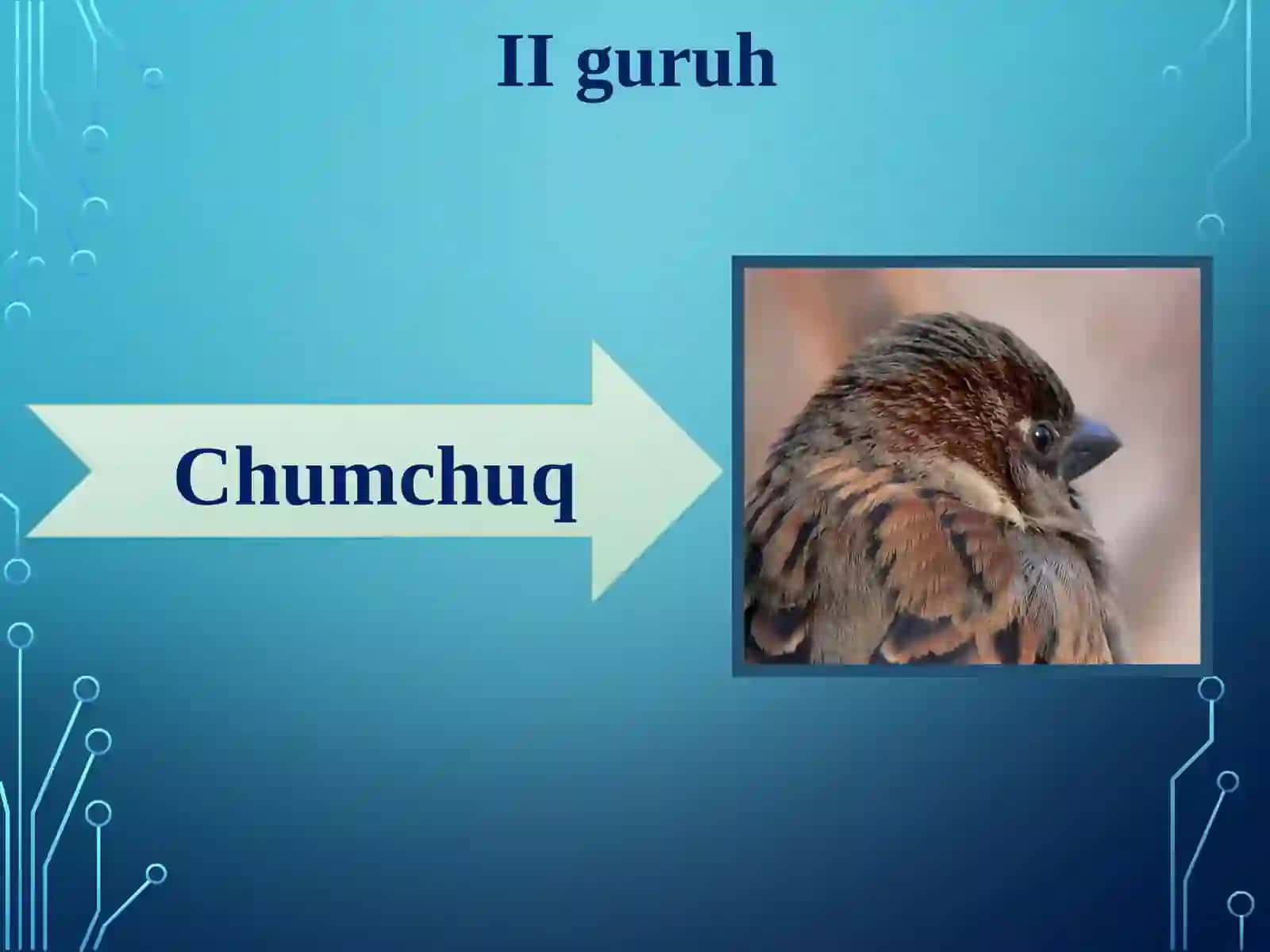 Qushlarning ko’payishi, rivojlanishi va kelib chiqishi 4