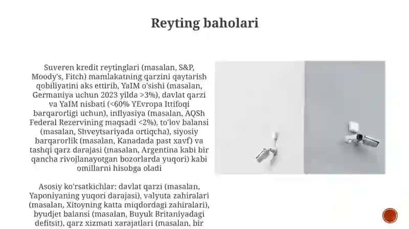 Mamlakat moliyaviy xavfsizligini tavsiflovchi ko'rsatkichlar va mezonlar 4