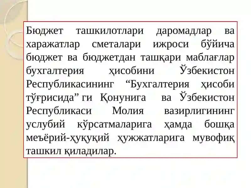 Byudjet tashkilotlarida Byudjet hisobining tashkiliy-uslubiy jihatlari 4