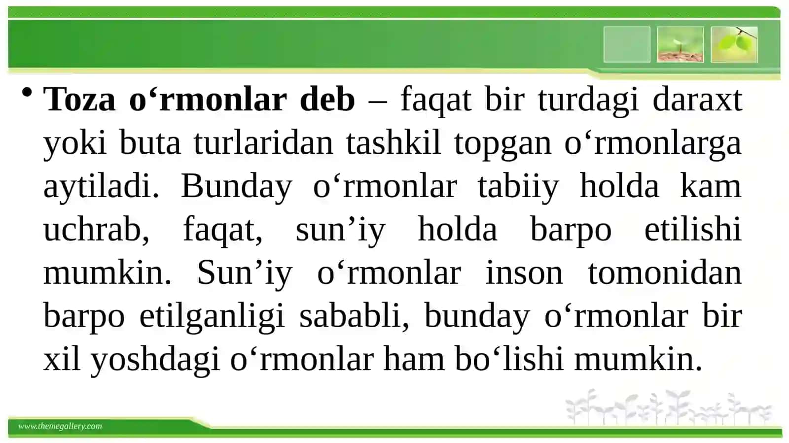 O‘rmon morfologiyasi.Asosiy elementlari va komponentlari 4