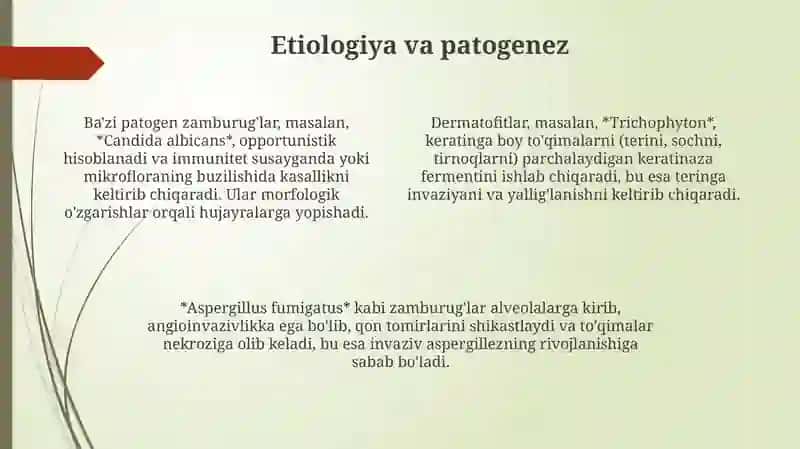 Patogen zamburug'lar qo'zg'atuvchi kasalliklar 4