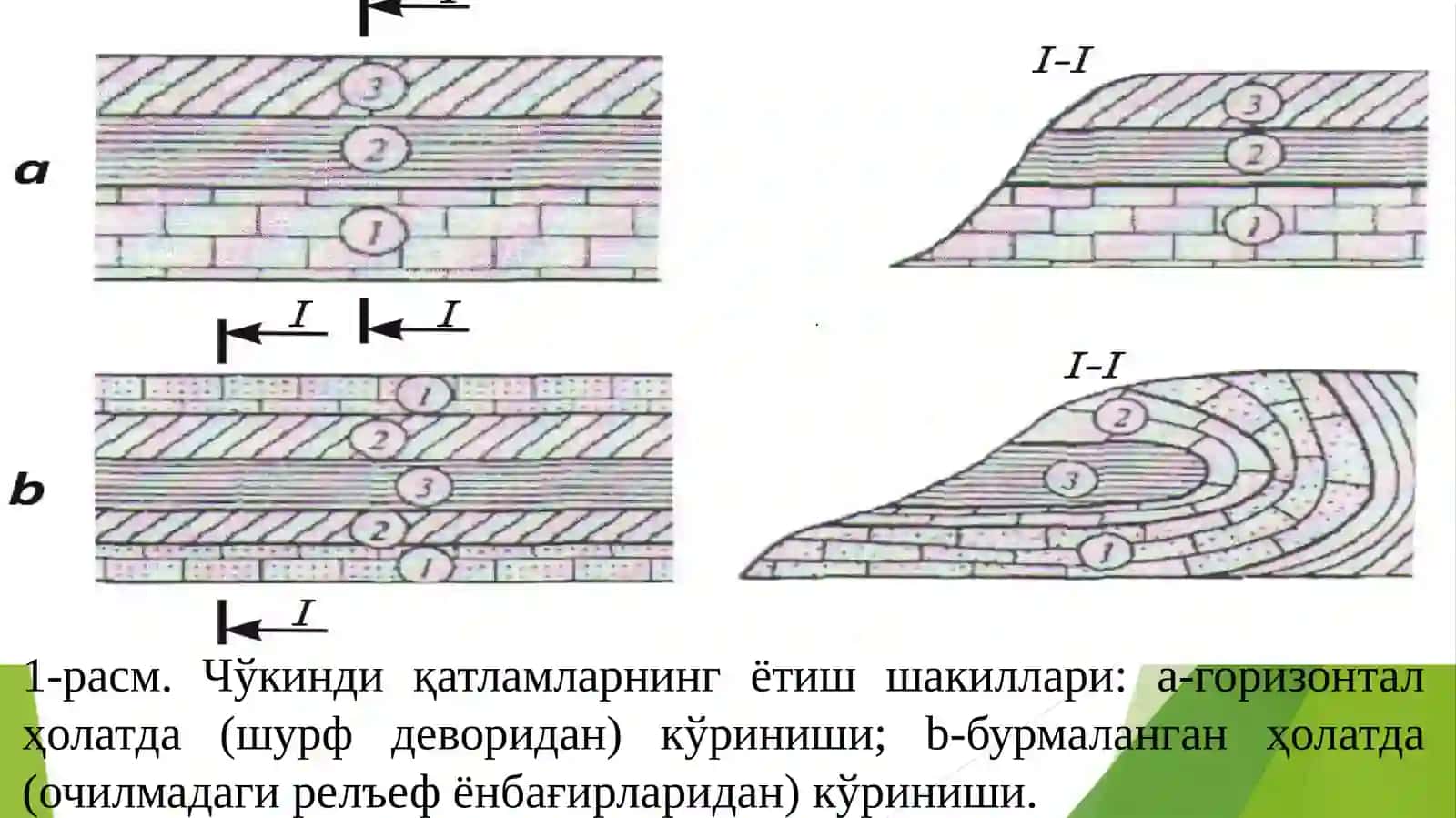 Геологик йилнома тўғ жинсларининг ёши ва геологик йилнома ҳақида маълумот 4