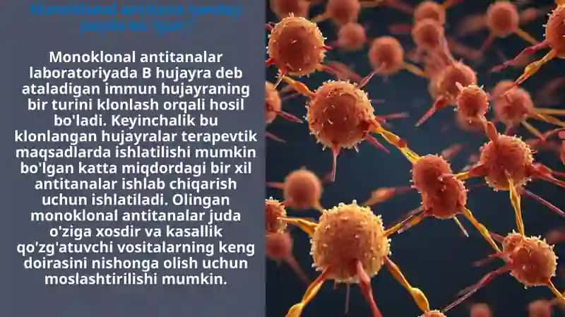 Monoklonal antitana 4