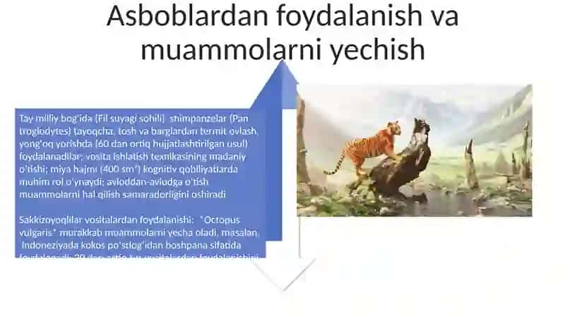 Hayvonot Olamida Psixik Funksiyalar Evolutsiyasi 4