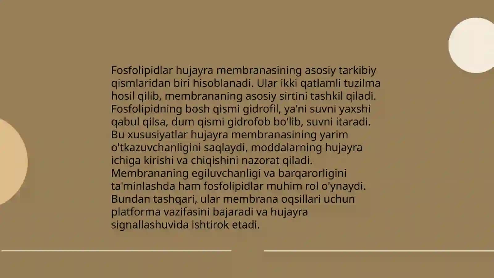 Biologik membrananing molekulyar tuzilishini chizma va animatsiya 4