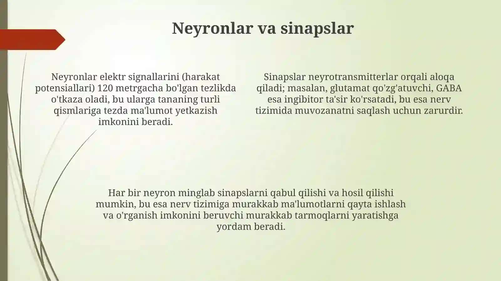 Nervsistemasi 4