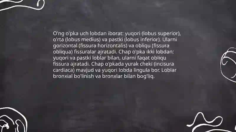 Lung anatomy 4