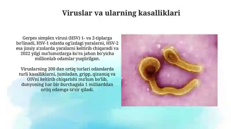 Kasallik qo'zg'atuvchi mikroorganizmlar, infeksiya va uning turlari 4