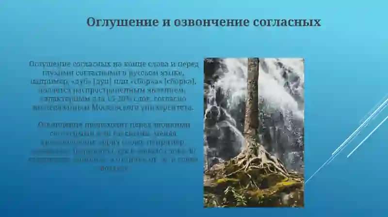 Правописание согласных в корне 4