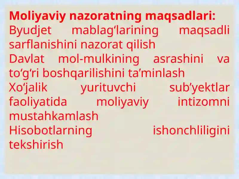 Oʻzbekiston respublikasi moliyaviy nazorat tizimida auditning roli 4