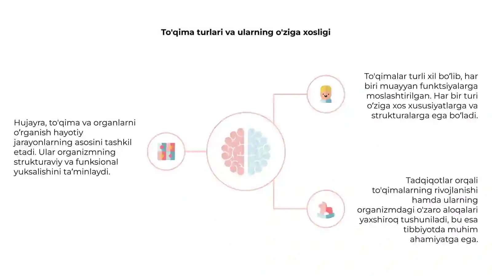 Hujayra strukturasining asosiy xususiyatlari 4