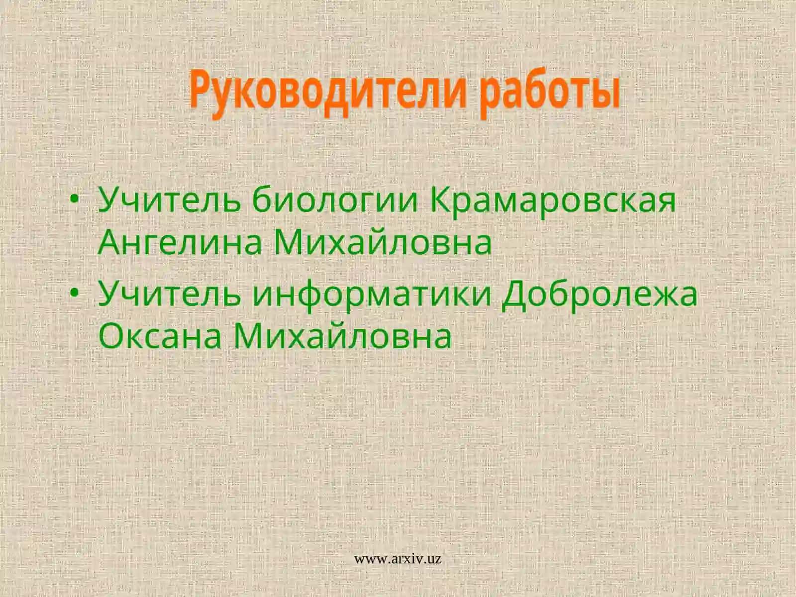 Рациональное природопользование - путь к сотрудничеству человека и природы 4
