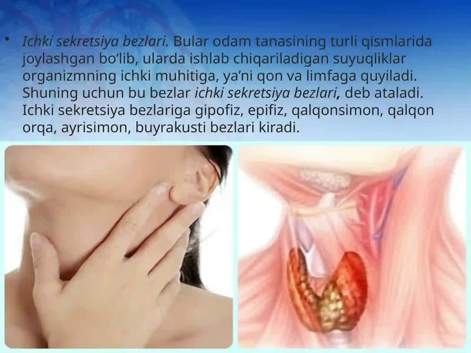 Ichki sekretsiya bezlari haqida umumiy tushuncha 4