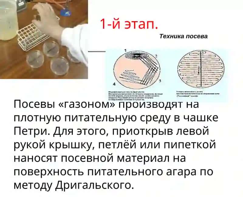 Метод Дригальского 4