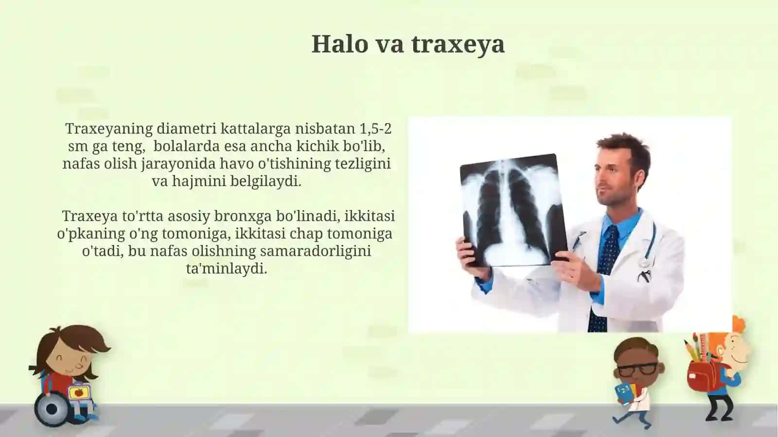 Nafas olish organlari 4