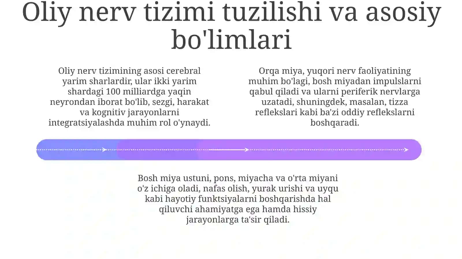 Oliy nerv faoliyatining tiplari 4