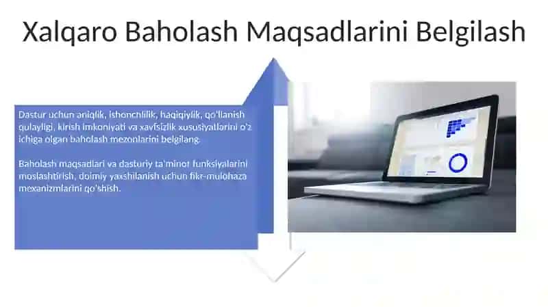 Xalqaro baholash dasturlash dasturlarining maqsadi 4