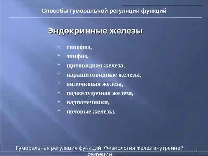 Основы гуморальной регуляции функций 4