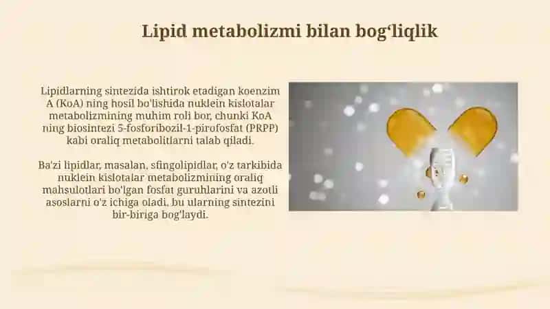 Nuklein kislotalar almashinuvining oqsil, uglevod va lipidlar almashinuvi bilan o’zaro bog‘liqligi 4