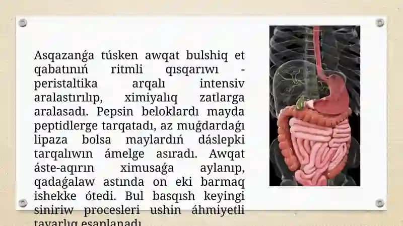 Asqazan hám isheklerde awqat sińiwi 4