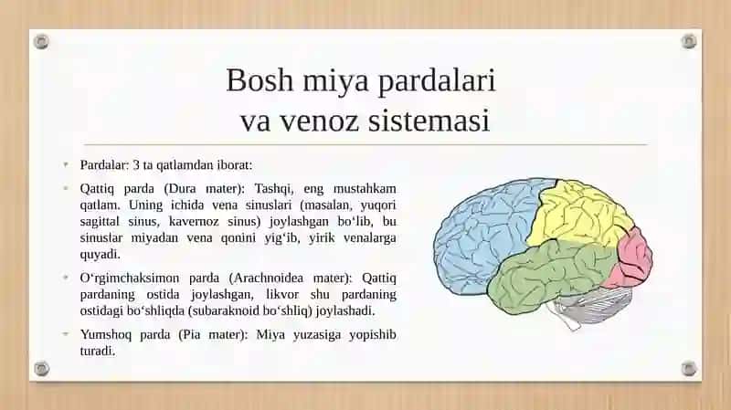 Bosh miya pardalarining vena bo‘shliqlari va sistemalari. Orqa miya suyug‘i hosil bo‘lishi, tarkibi, sirkulyatsiyasi,klinik ahamiyati. Likvorodinamika. 4
