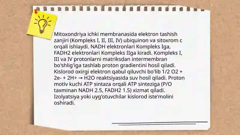 Biologik oksidlanish reaktsiyalarida kislorodning iste mol qilinish yo'llari 4