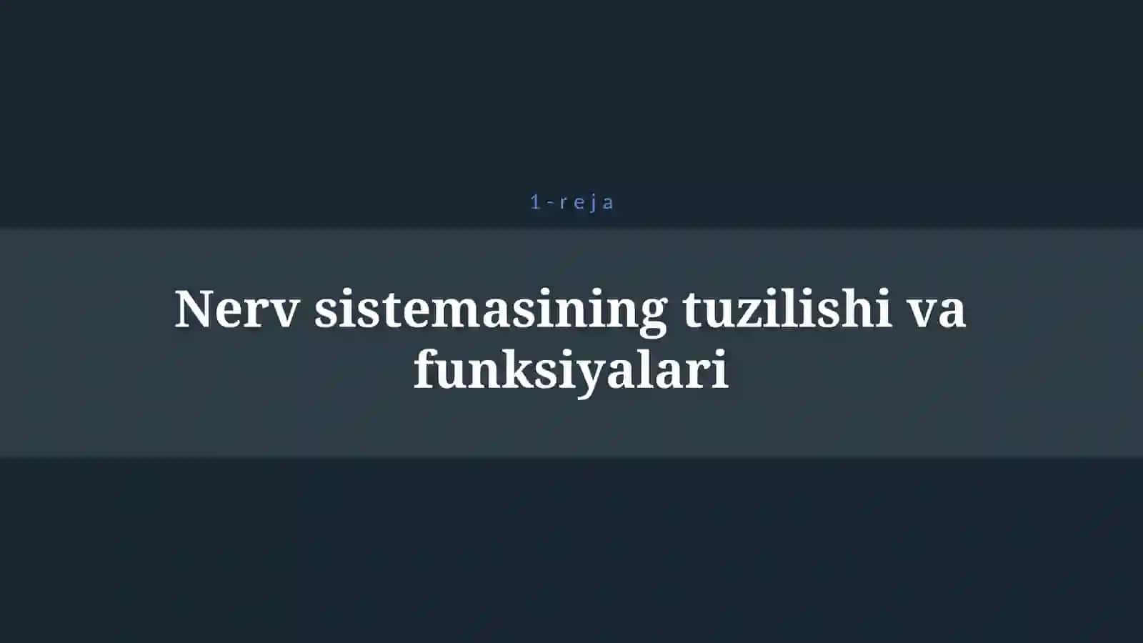 NERV SISTEMASINING AHAMIYATI VA UNING GIGIYENASI 4