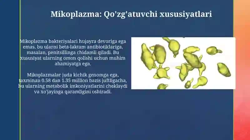 Xlamidiya va Mikoplazma: Qo'zg'atuvchilar, Kasalliklar va Tarqalish 4