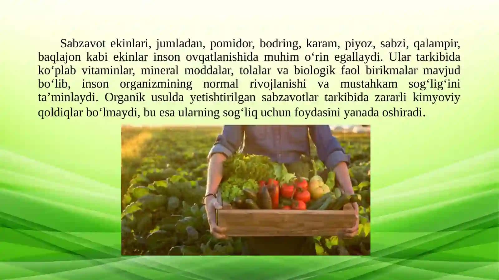 Organik dehqonchilik qilinadigan yerlarda sabzavot ekinlarini yetishtirish 4