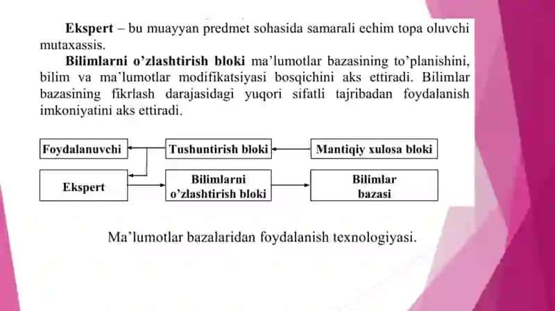 Ekspert tizimlar haqida asosiy tushuncha - ekspert tizimlarining farqlash xususiyatlari 4