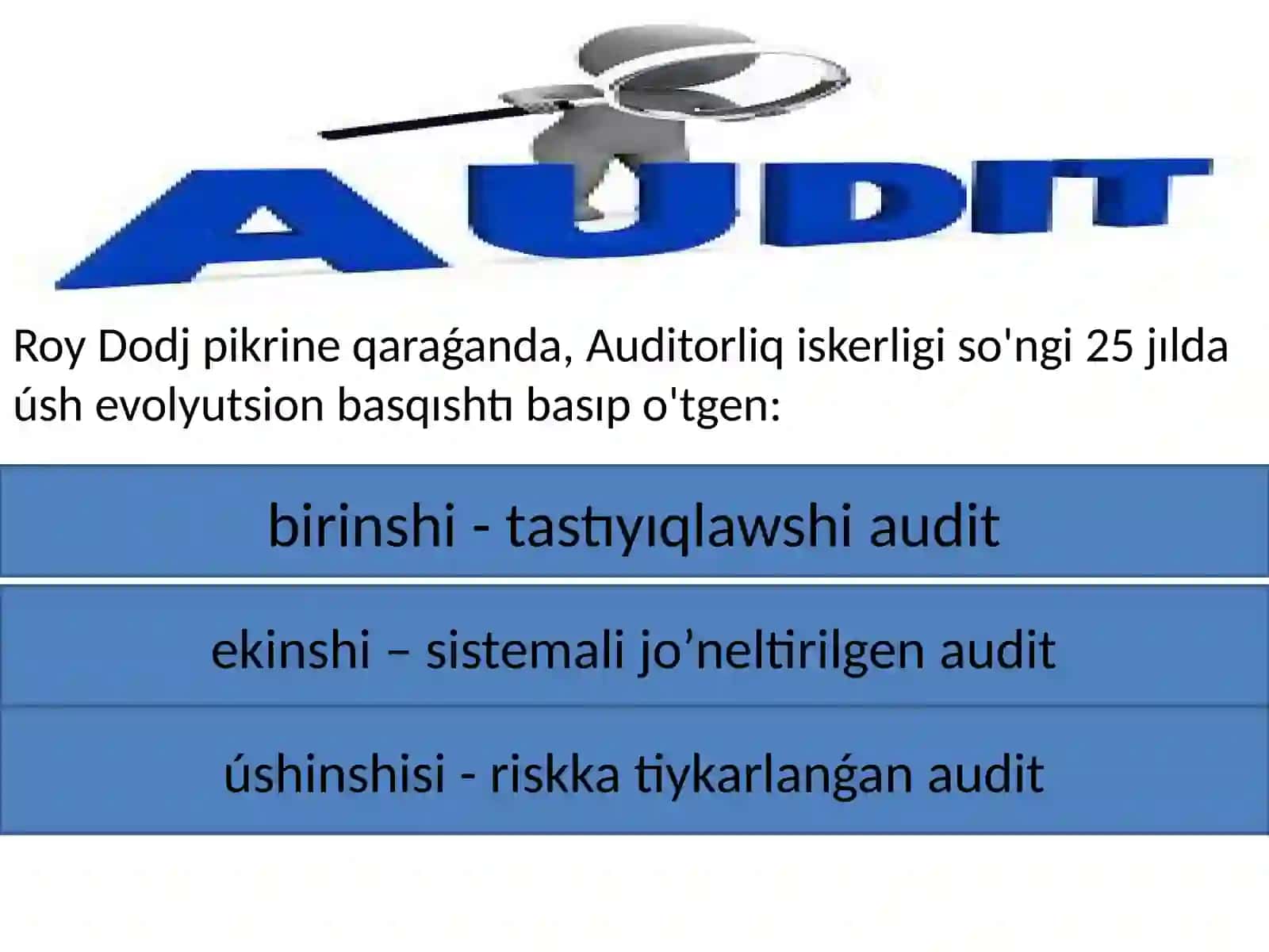 XALIQARALIQ AUDIT HA’M MODELLERI 4