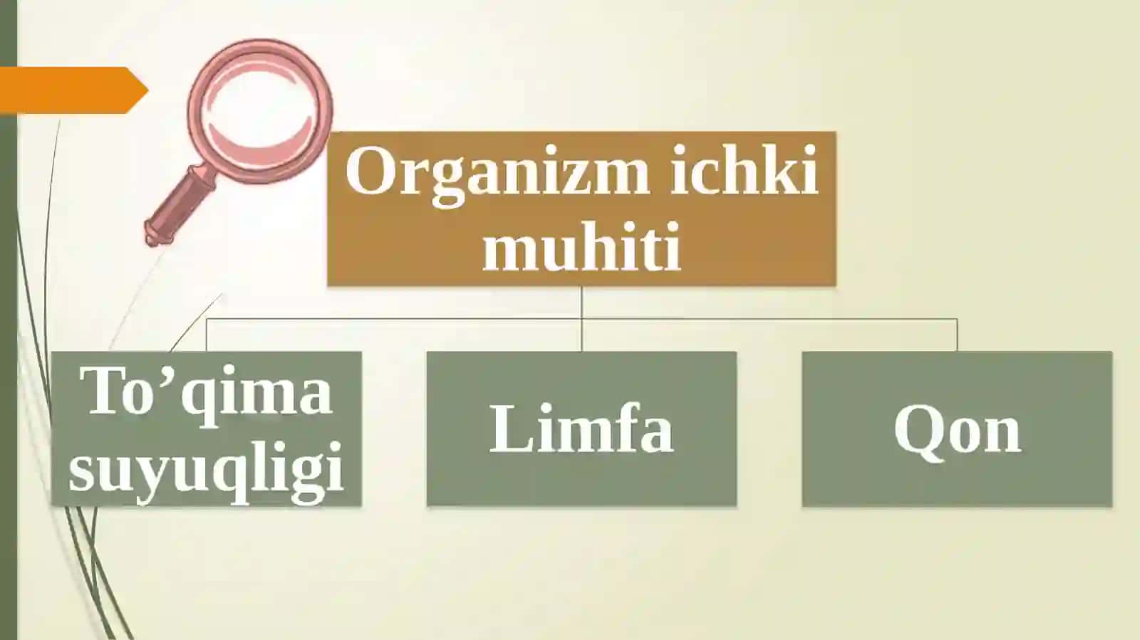 Qonvauningvazifasi 4